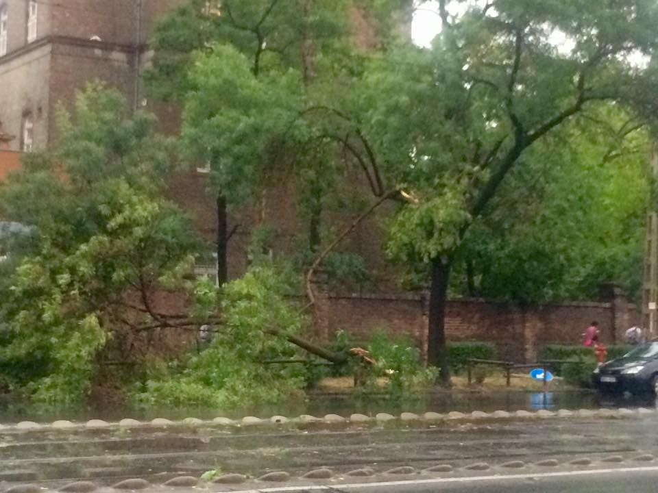 Illustration for article titled Viharmageddon Budapesten: lazachorgászhellyé alakult a metró