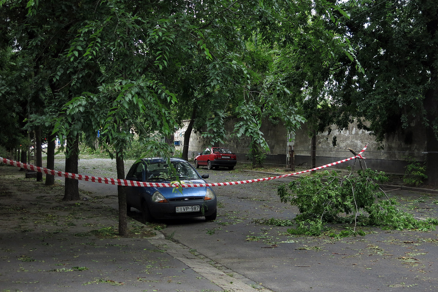 Illustration for article titled Kicsinálta a Népligetet a szerdai vihar