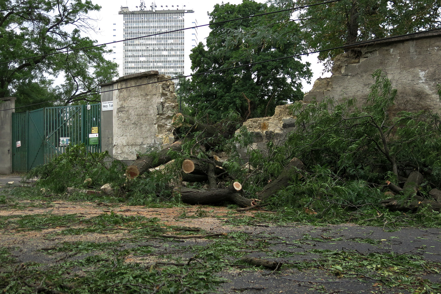 Illustration for article titled Kicsinálta a Népligetet a szerdai vihar