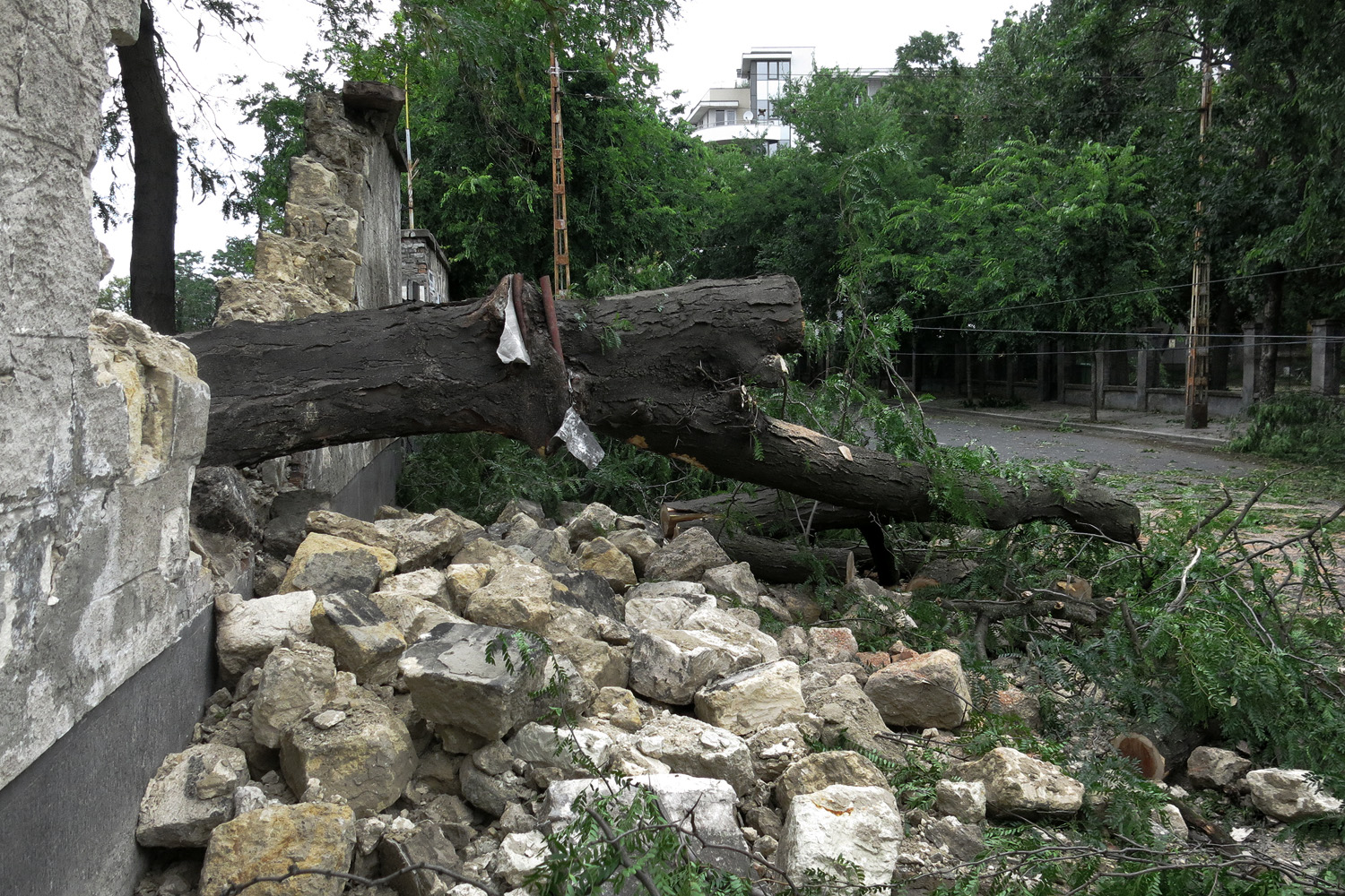 Illustration for article titled Kicsinálta a Népligetet a szerdai vihar