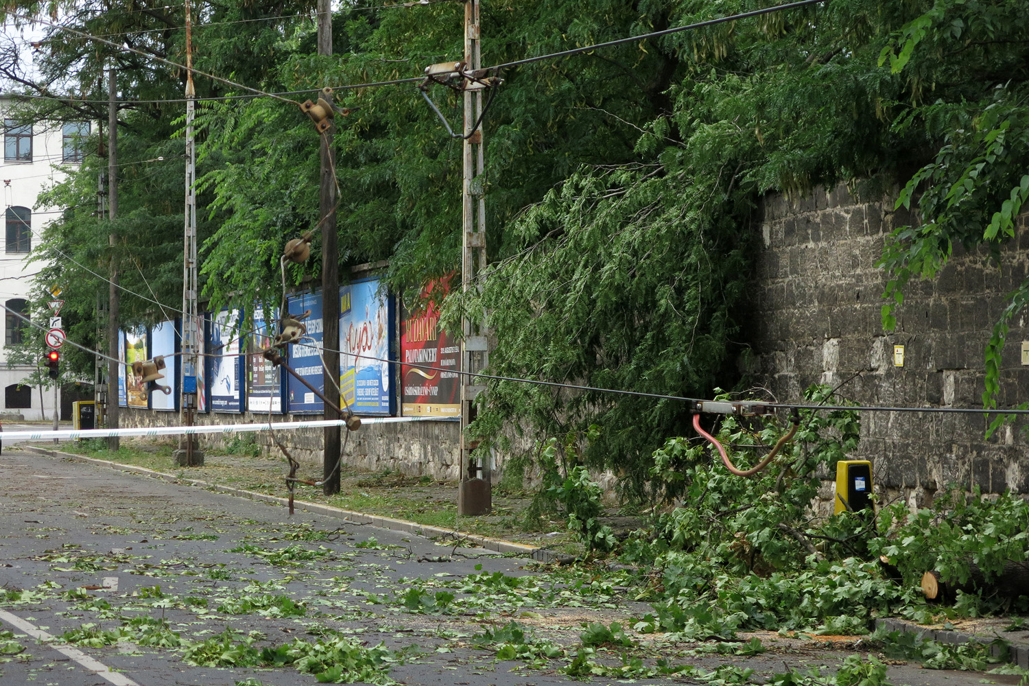 Illustration for article titled Kicsinálta a Népligetet a szerdai vihar