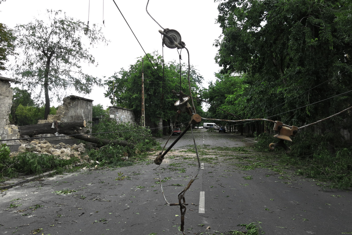 Illustration for article titled Kicsinálta a Népligetet a szerdai vihar