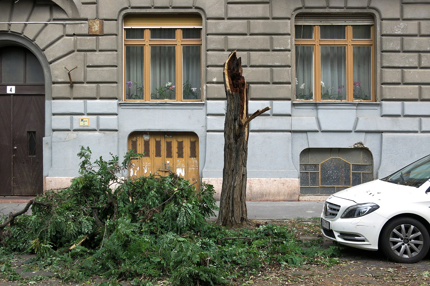 Illustration for article titled Kicsinálta a Népligetet a szerdai vihar