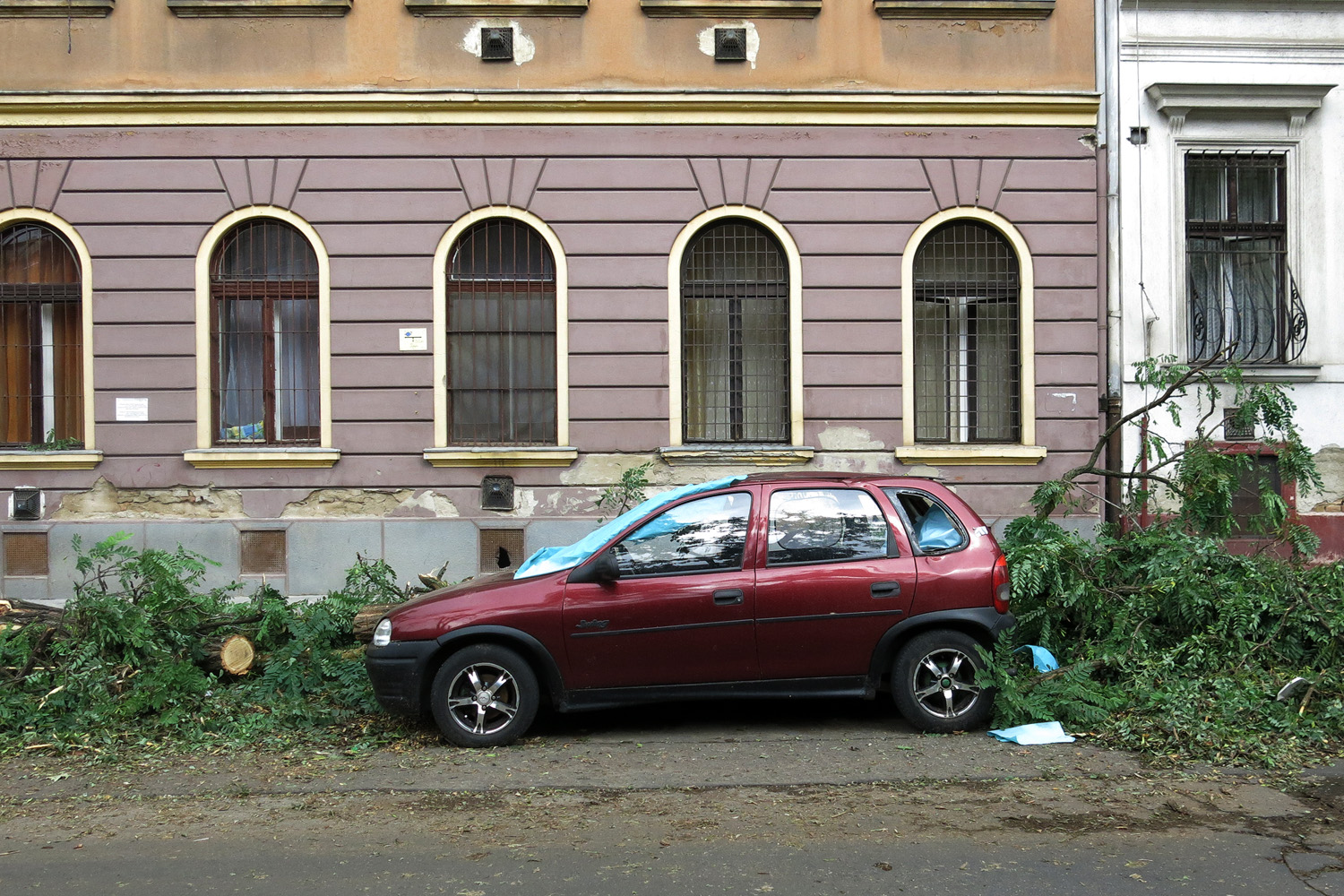 Illustration for article titled Kicsinálta a Népligetet a szerdai vihar