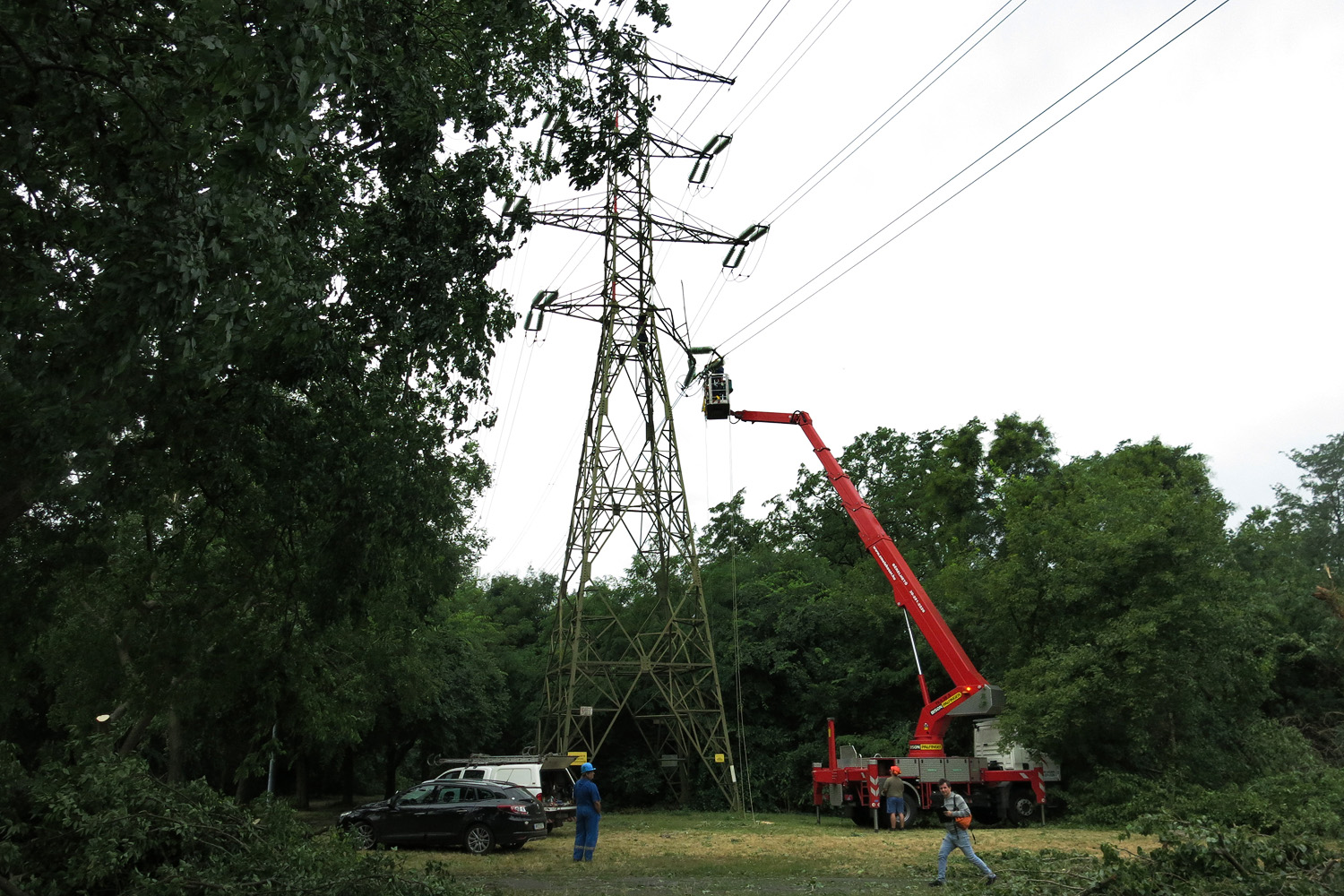 Illustration for article titled Kicsinálta a Népligetet a szerdai vihar