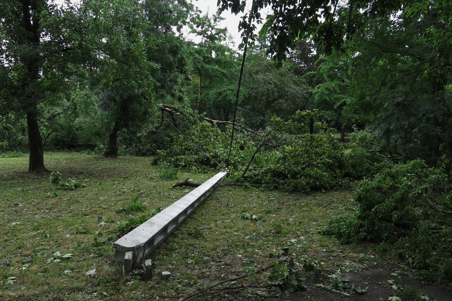 Illustration for article titled Kicsinálta a Népligetet a szerdai vihar