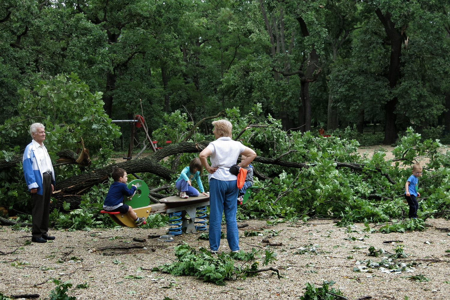 Illustration for article titled Kicsinálta a Népligetet a szerdai vihar