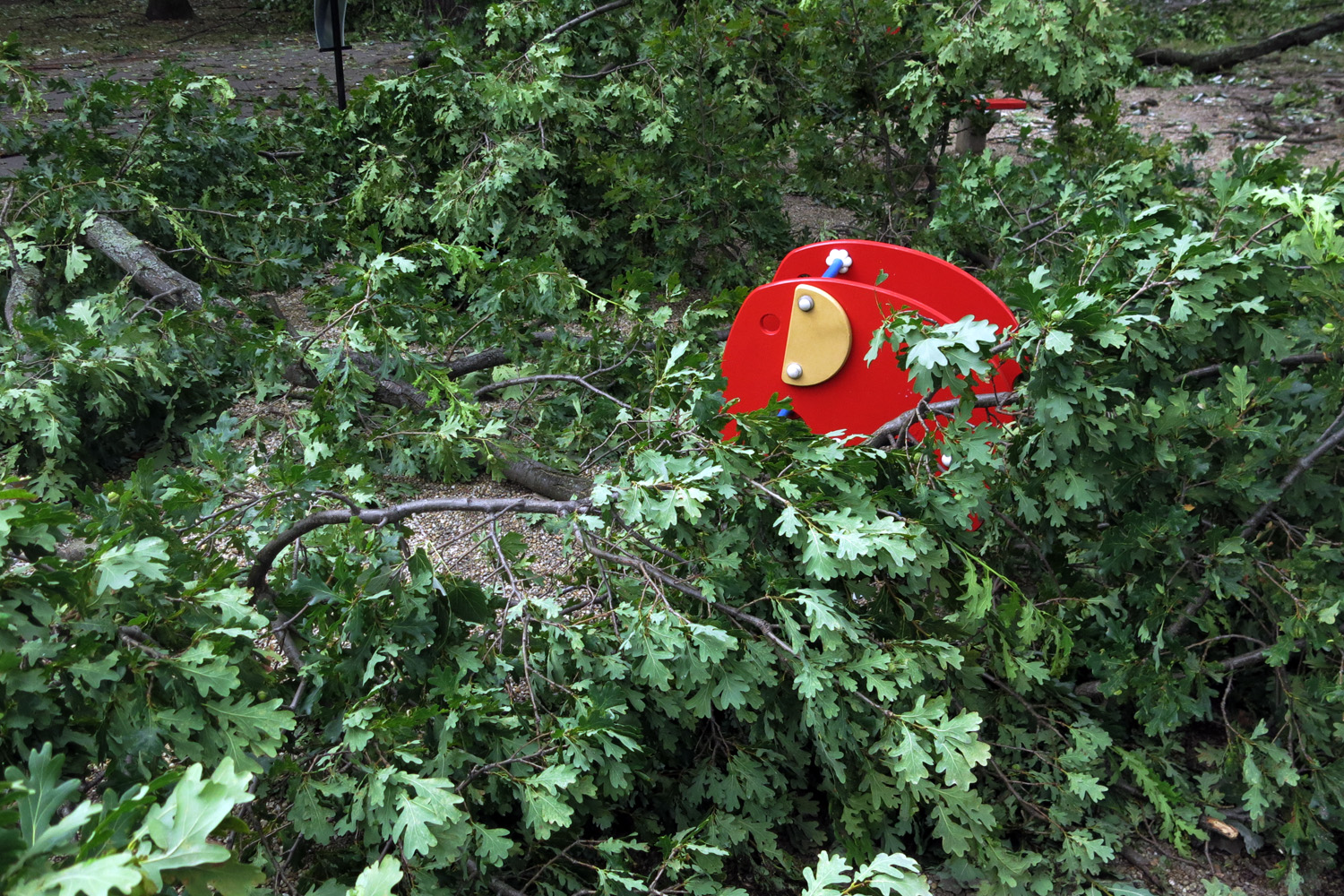 Illustration for article titled Kicsinálta a Népligetet a szerdai vihar