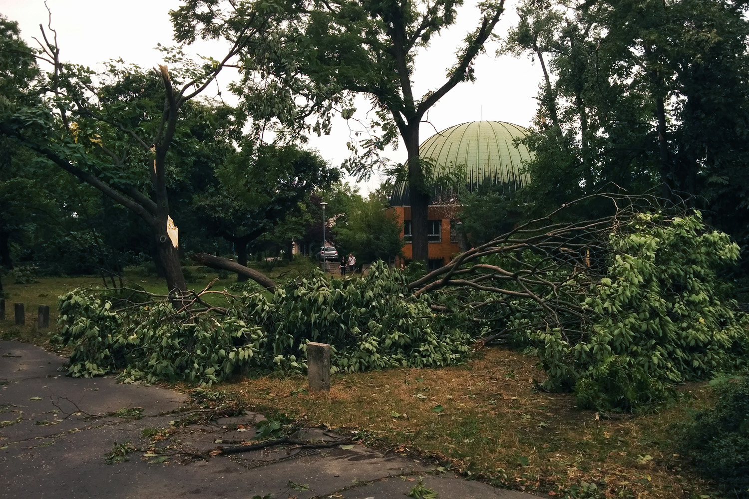 Illustration for article titled Kicsinálta a Népligetet a szerdai vihar