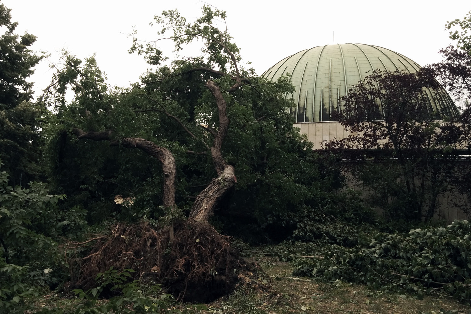 Illustration for article titled Kicsinálta a Népligetet a szerdai vihar