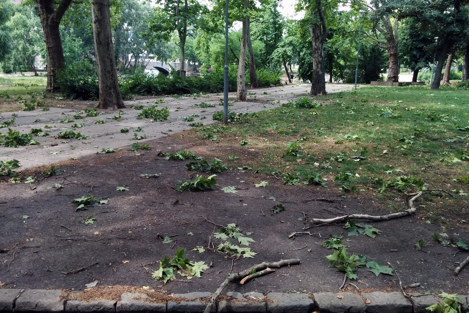 Illustration for article titled Kicsinálta a Népligetet a szerdai vihar