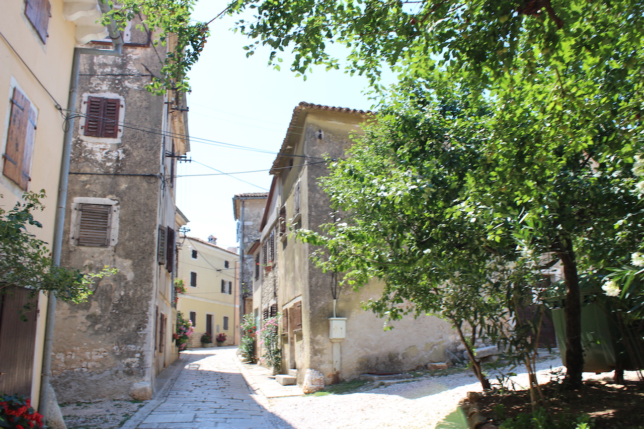 Illustration for article titled Tessék, itt vannak Feri hortenziái. Szépek?