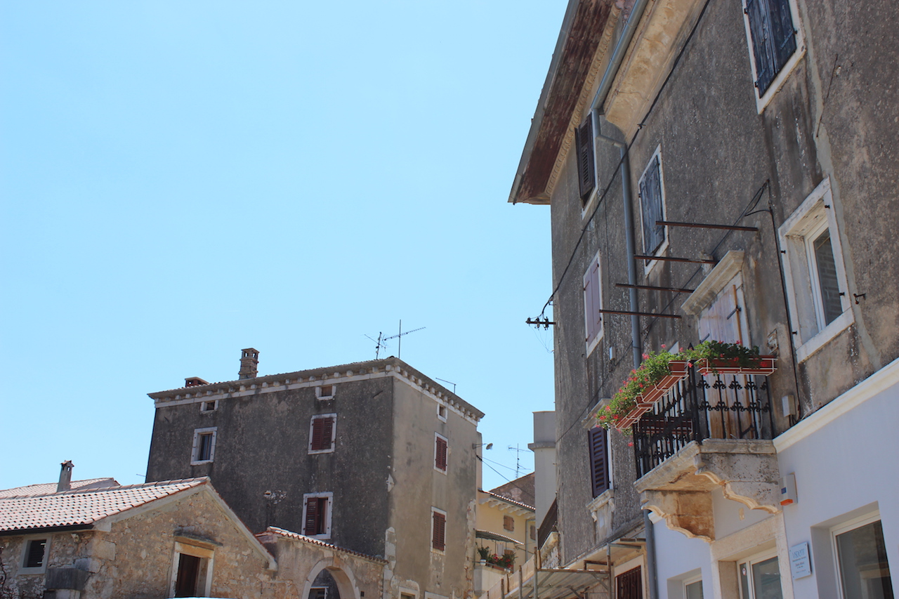 Illustration for article titled Tessék, itt vannak Feri hortenziái. Szépek?