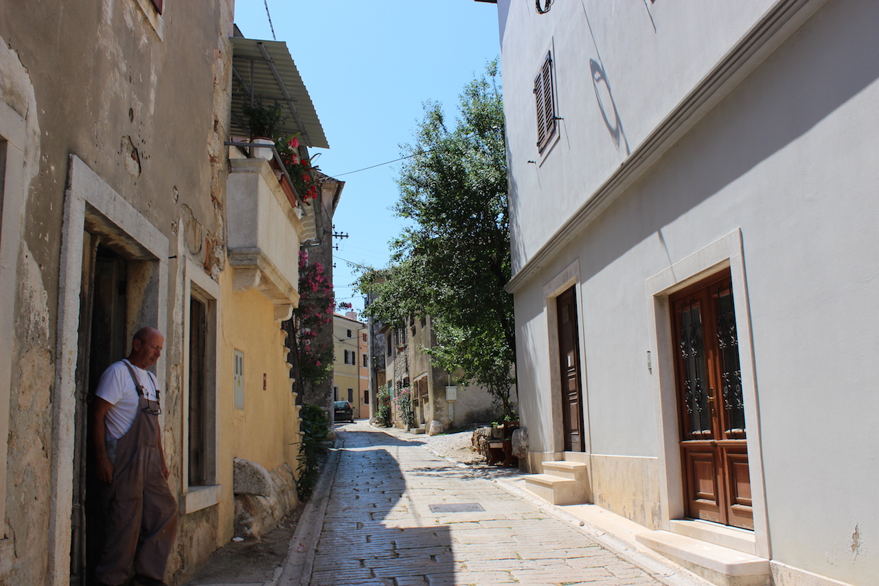 Illustration for article titled Tessék, itt vannak Feri hortenziái. Szépek?