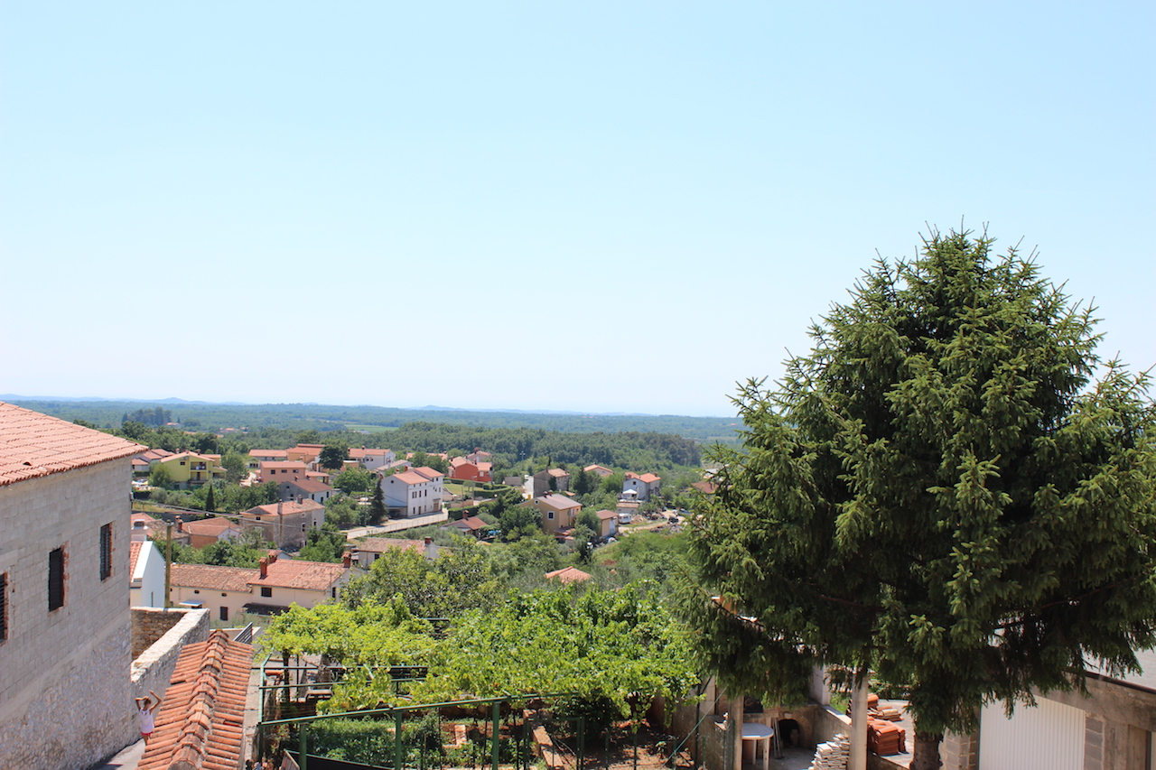 Illustration for article titled Tessék, itt vannak Feri hortenziái. Szépek?