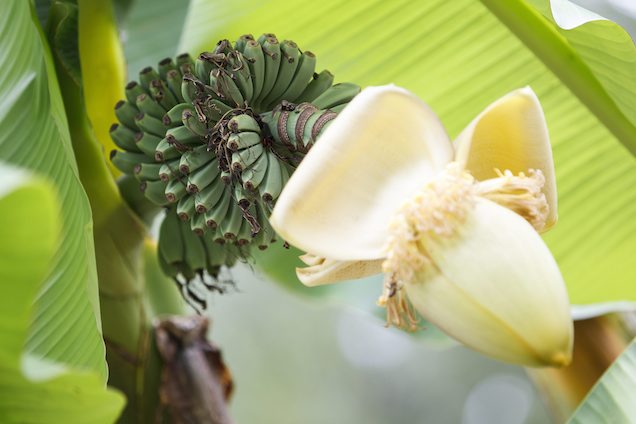 Nem szívesen lennék most az imperialisták helyében!