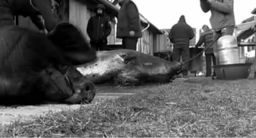 Jól sikerült az Orbán Viktor élete tíz másodpercben