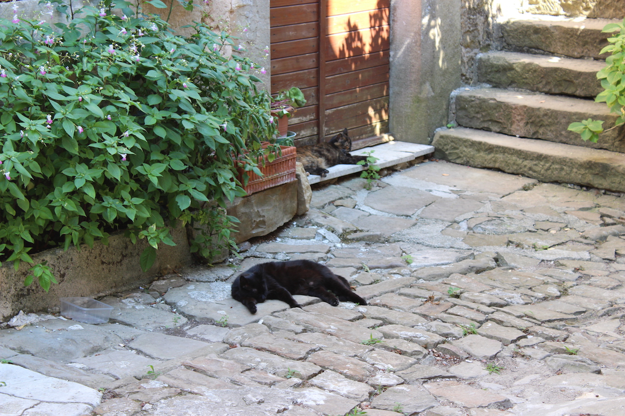 Illustration for article titled Hahó, a tenger!