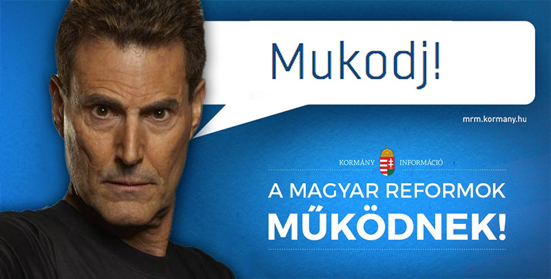 Végig erre a kamuplakátra vártam