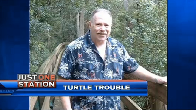 Saját pisztolyával lőtték seggbe a teknősök fészkét védelmező férfit