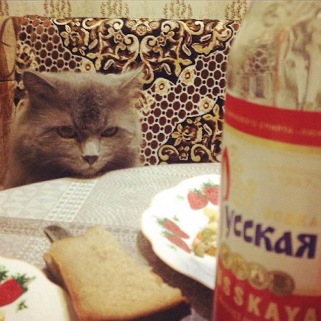 Pálinkás jó reggelt!