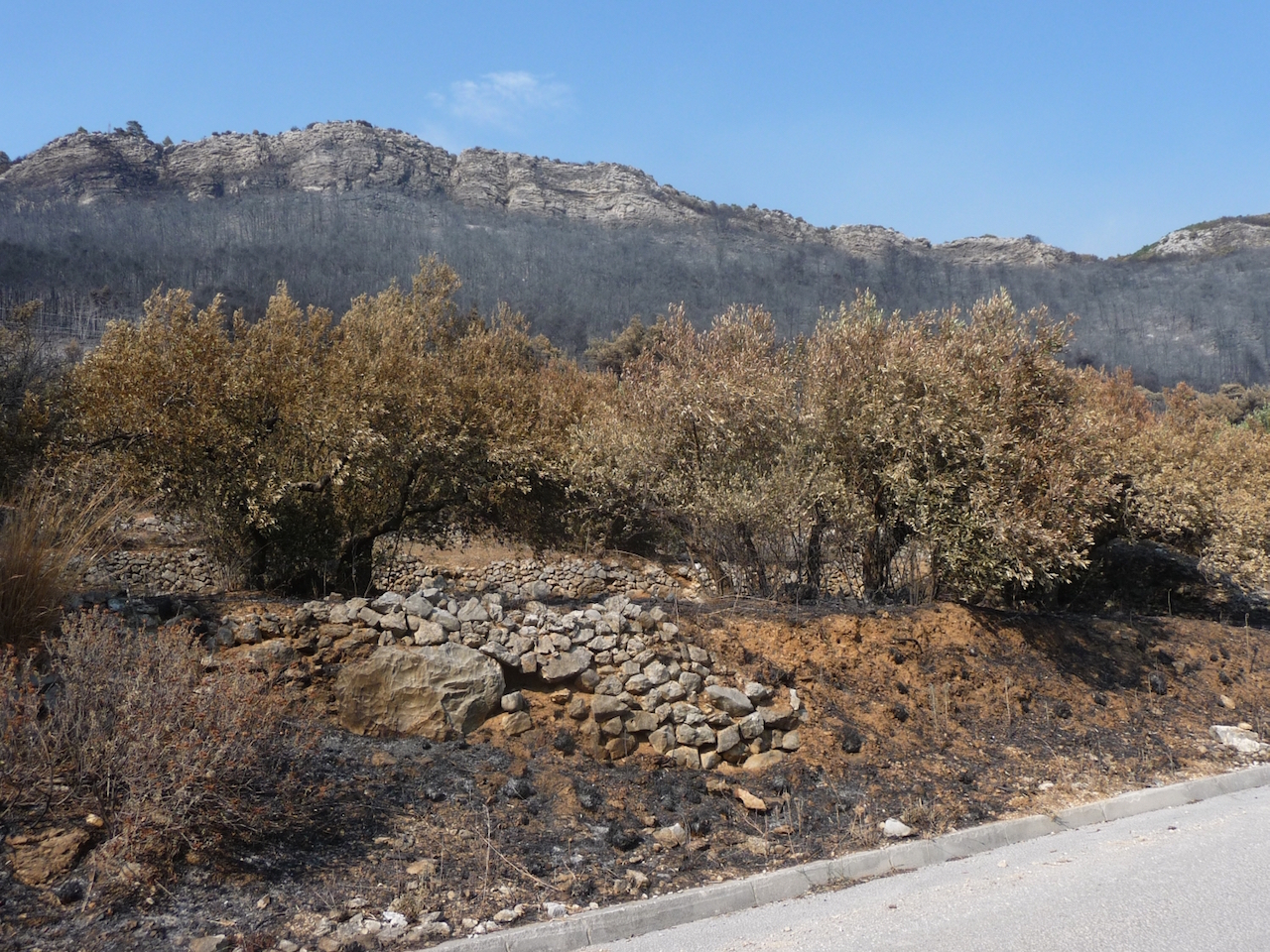 Illustration for article titled Az áram csak jön és megy – nyaralás és erdőtűz a Peljesac-félszigeten