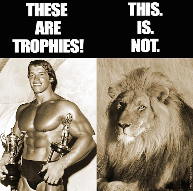 Ezek trófeák, ez viszont nem trófea, állapította meg Arnold