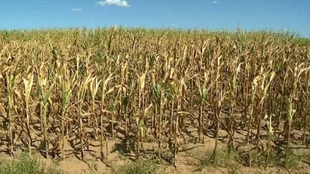 Megsülünk és éhen halunk, vagy van más megoldás is?