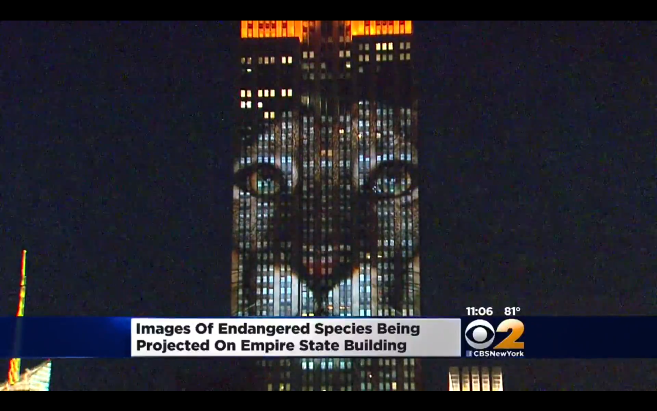 Cecil képmását kivetítették az Empire State Buildingre