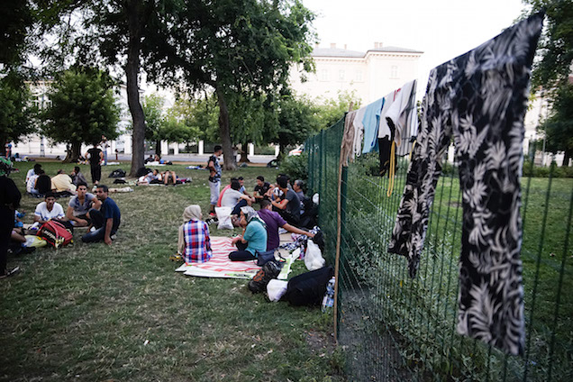 Őrjöngő, késelő, rongáló menekültekről ír Kocsis Máté