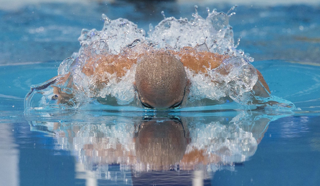 Cseh a legnagyobb magyar az úszó-vb-n
