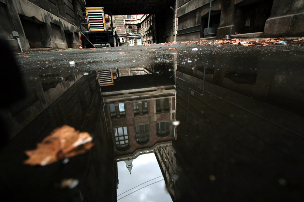 Illustration for article titled Porban fuldoklik a VIII. kerületi Horváth Mihály tér