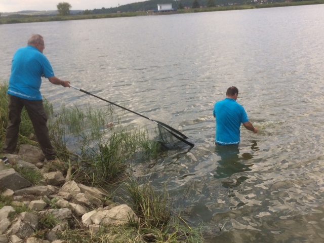 Illustration for article titled Alsógatyában, kocsisként káromkodva mászott a vízbe Erdei Madár Zsolt