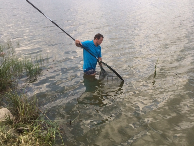 Illustration for article titled Alsógatyában, kocsisként káromkodva mászott a vízbe Erdei Madár Zsolt