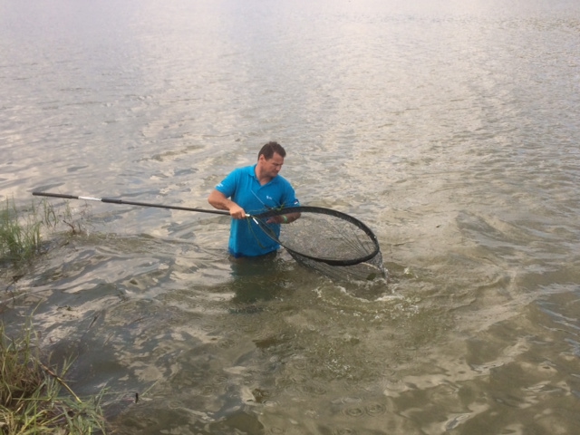 Illustration for article titled Alsógatyában, kocsisként káromkodva mászott a vízbe Erdei Madár Zsolt