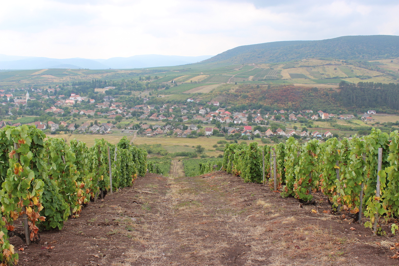 Mi lehet ennél szebb?