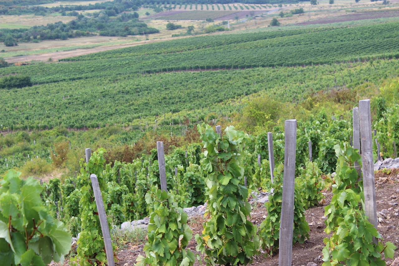 Illustration for article titled Mi lehet ennél szebb?