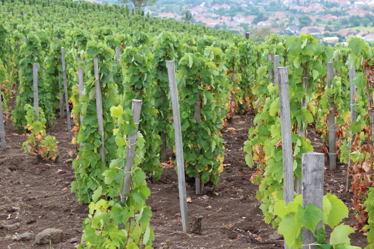 Illustration for article titled Mi lehet ennél szebb?