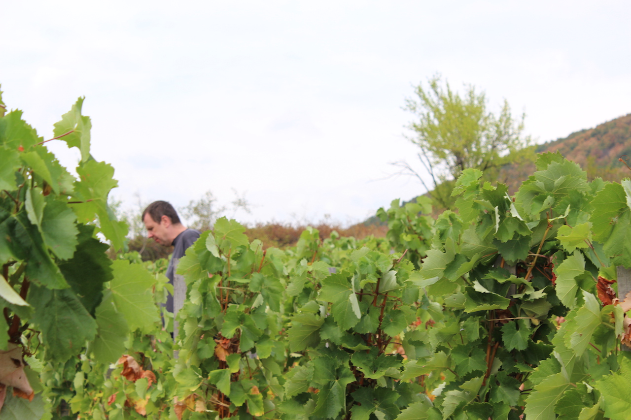 Illustration for article titled Mi lehet ennél szebb?