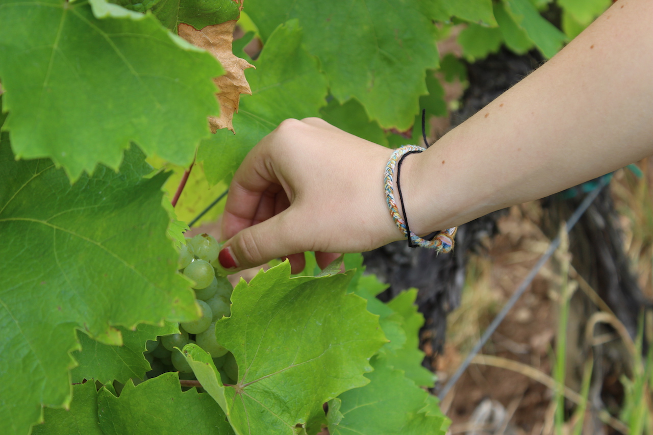 Illustration for article titled Mi lehet ennél szebb?