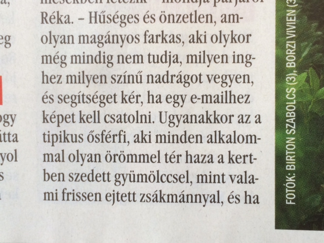 Illustration for article titled A tipikus ősférfitől Kóka apukáig – nyomtatottsajtó-szemle screenshotokban