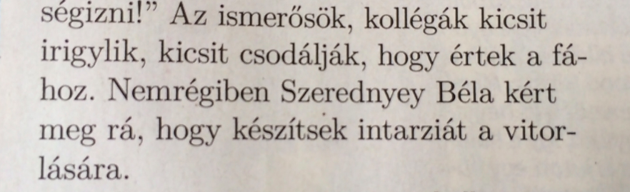 Illustration for article titled A tipikus ősférfitől Kóka apukáig – nyomtatottsajtó-szemle screenshotokban