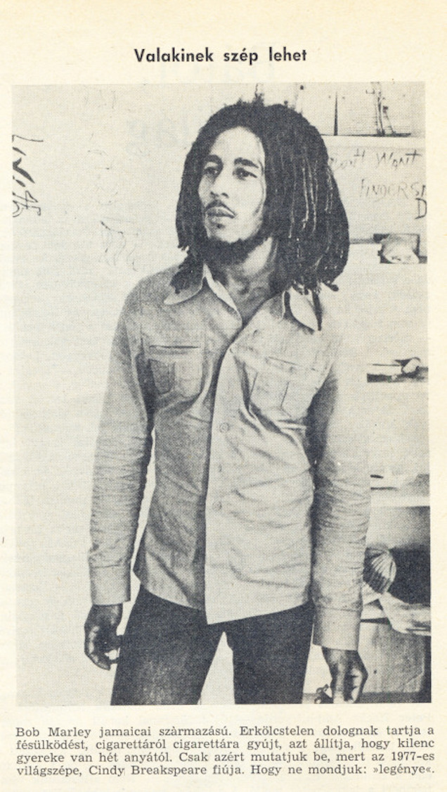 Illustration for article titled Valakinek még egy fésületlen néger is szép lehet