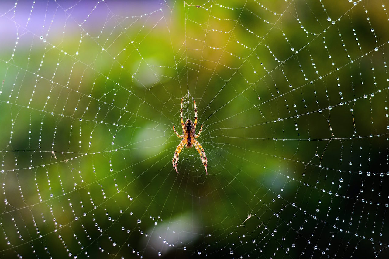 Igen-igen, észre kell venni a szépet is!