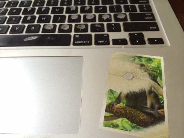 Illustration for article titled Hoppá, vége a Cinknek