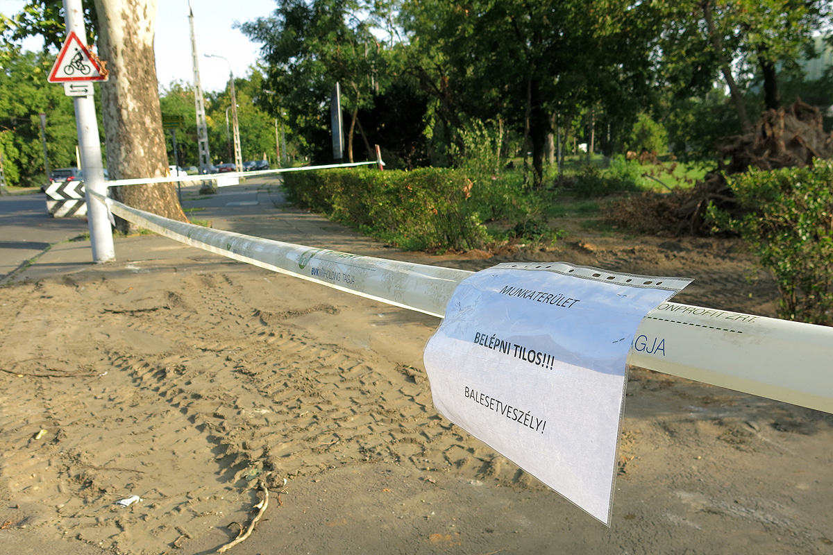 Illustration for article titled Berreg a láncfűrész! Hullik a forgács!