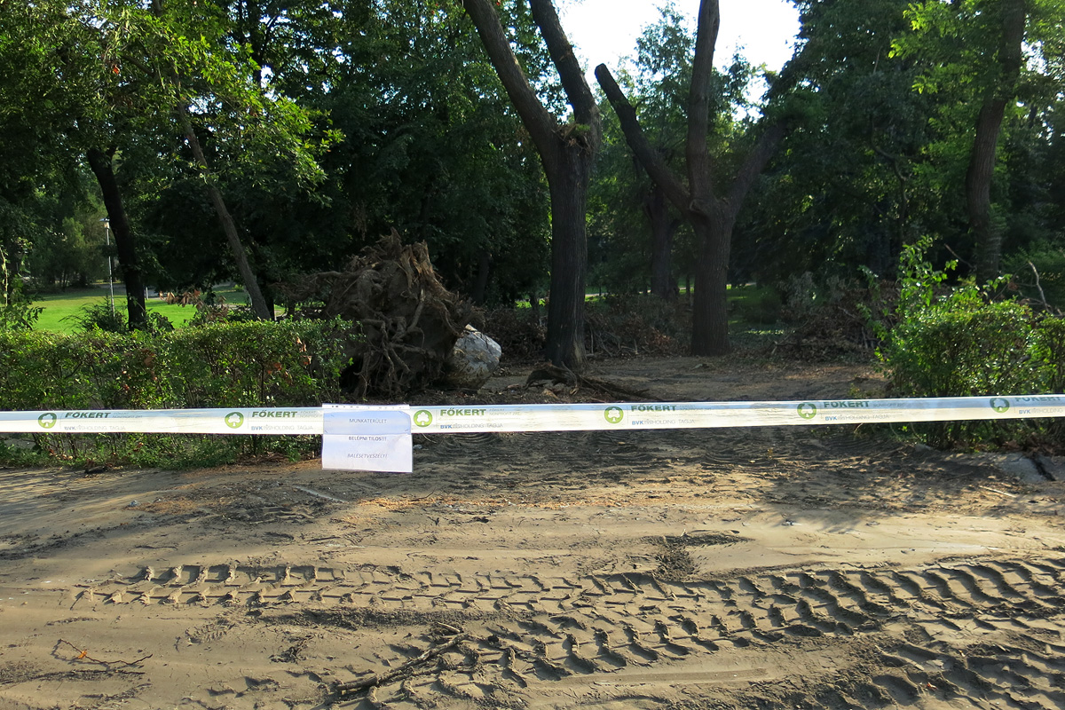 Illustration for article titled Berreg a láncfűrész! Hullik a forgács!