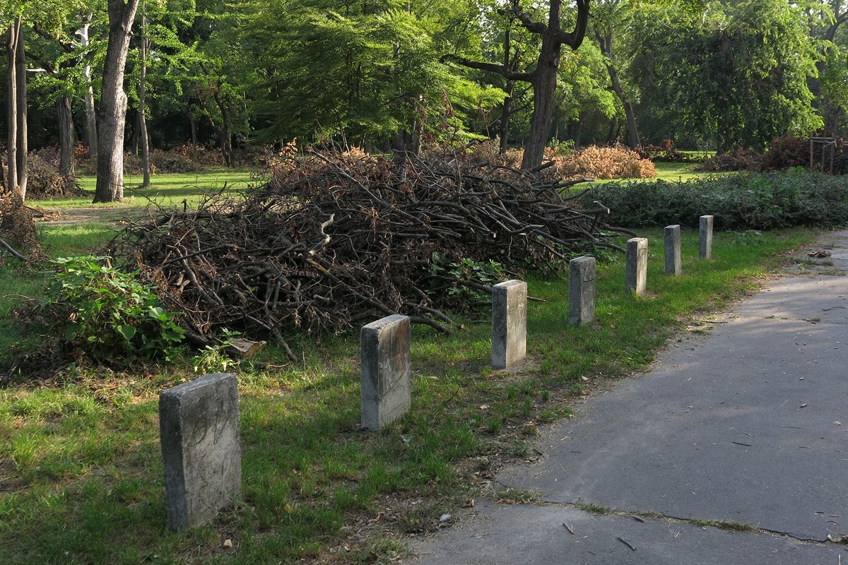 Illustration for article titled Berreg a láncfűrész! Hullik a forgács!