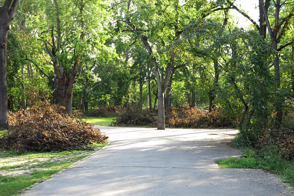 Illustration for article titled Berreg a láncfűrész! Hullik a forgács!