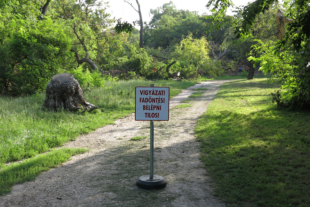 Illustration for article titled Berreg a láncfűrész! Hullik a forgács!